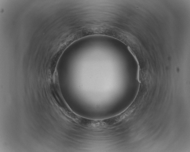 X0000064040752200601271202