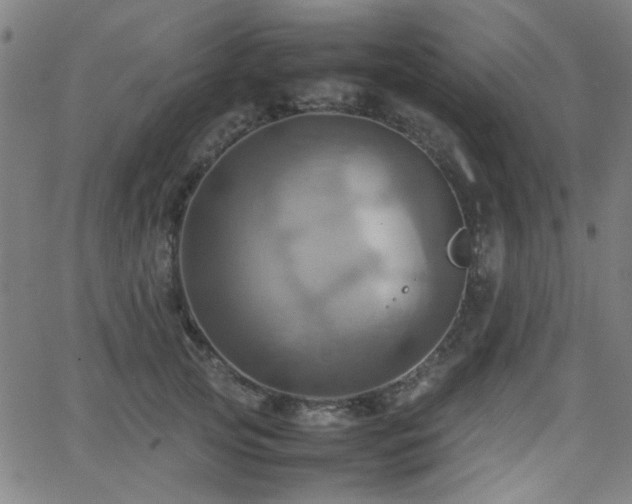 X0000064040753200601271202