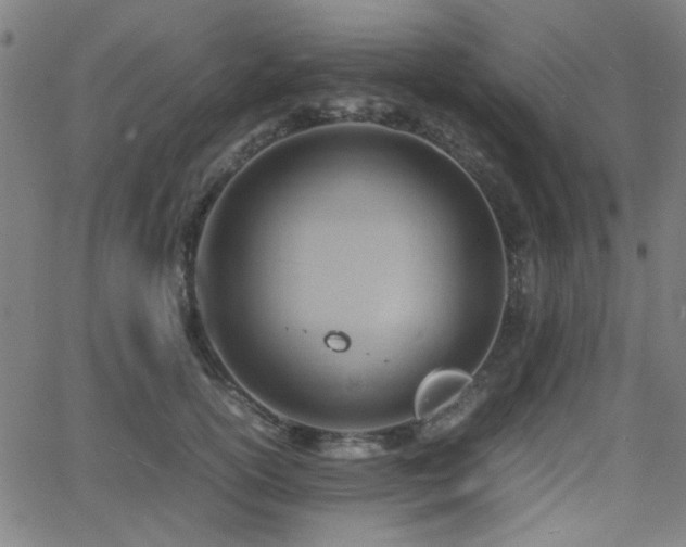 X0000064040754200601271202