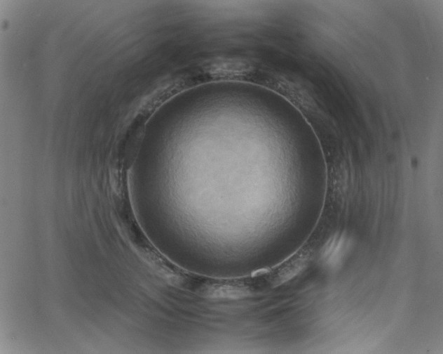 X0000064040755200601271202