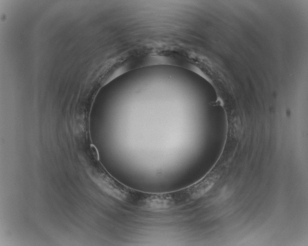 X0000064040756200601271202