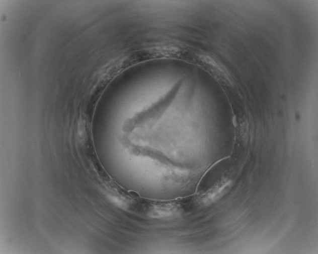 X0000064040757200601271202