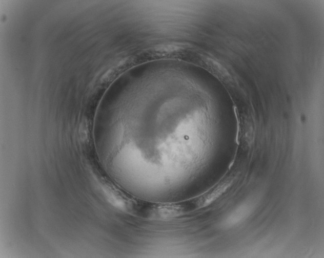 X0000064040758200601271202