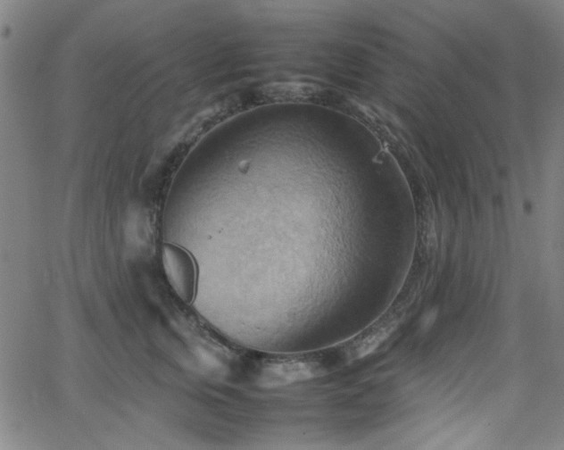 X0000064040759200601271202