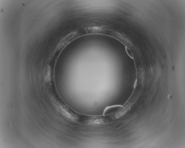 X0000064040760200601271202