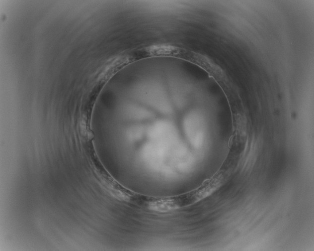 X0000064040761200601271202