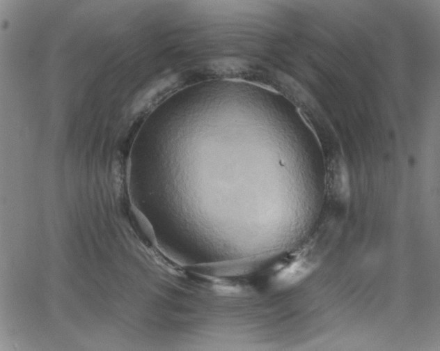 X0000064040762200601271202