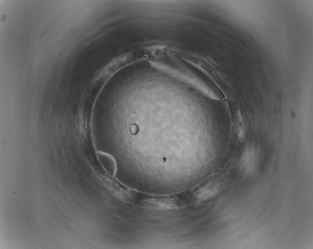 X0000064040763200601271202