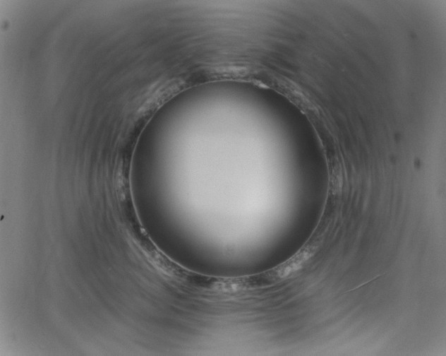 X0000064040764200601271202