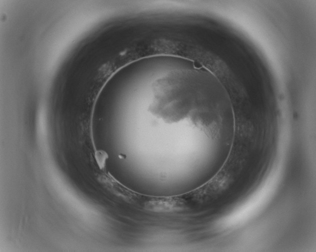 X0000064040765200601271202