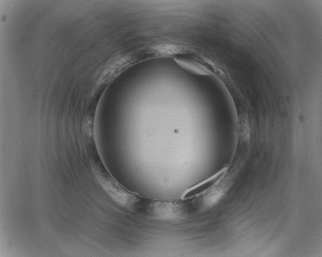 X0000064040766200601271202