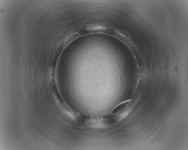 X0000064040767200601271202