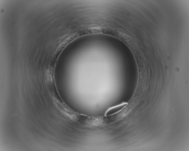 X0000064040768200601271202