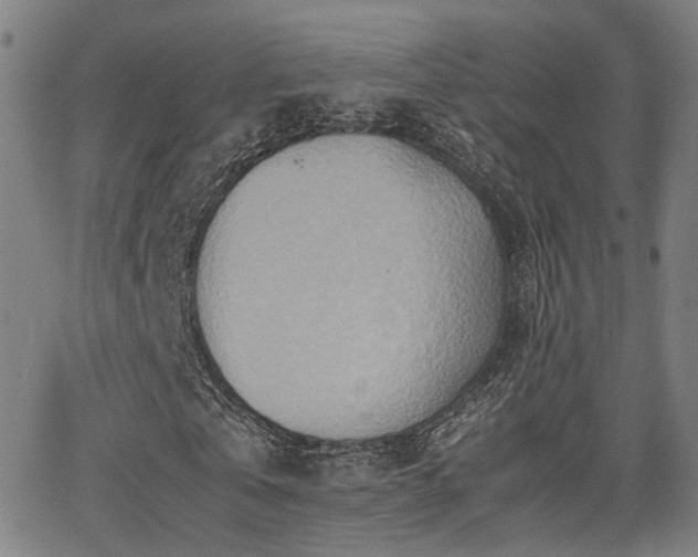 X0000064040769200601271201