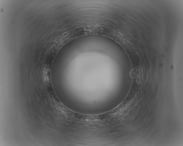 X0000064040770200601271201