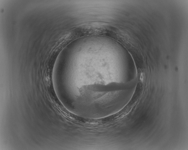 X0000064040771200601271201