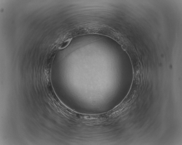 X0000064040772200601271201