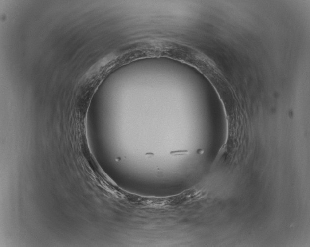 X0000064040773200601271201