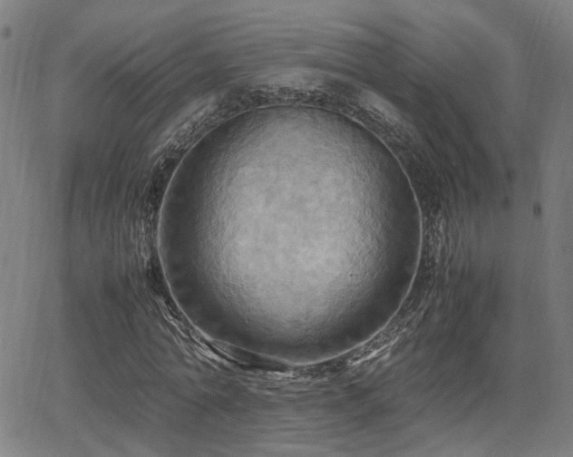 X0000064040774200601271201