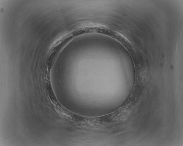 X0000064040775200601271201