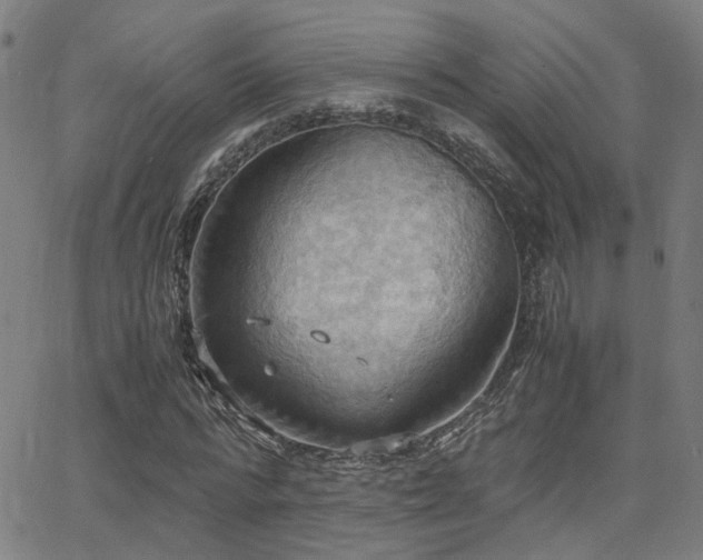 X0000064040776200601271201