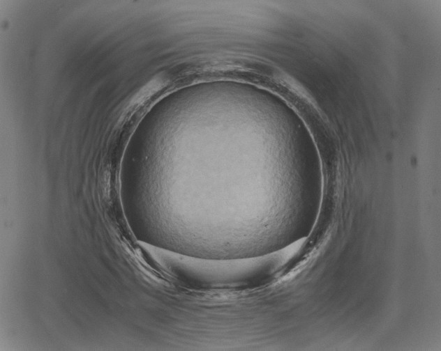 X0000064040777200601271201