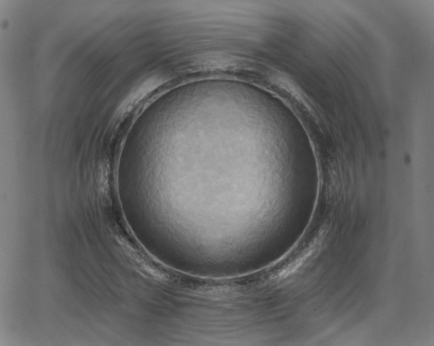 X0000064040778200601271201