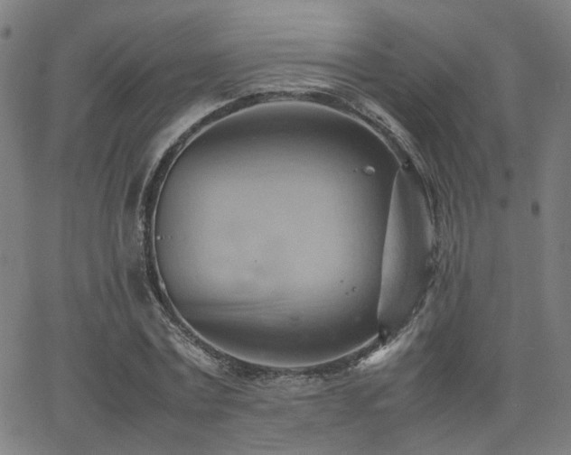 X0000064040779200601271201