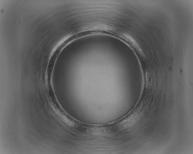 X0000064040780200601271201