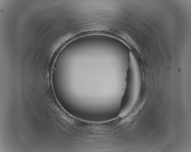 X0000064040781200601271201