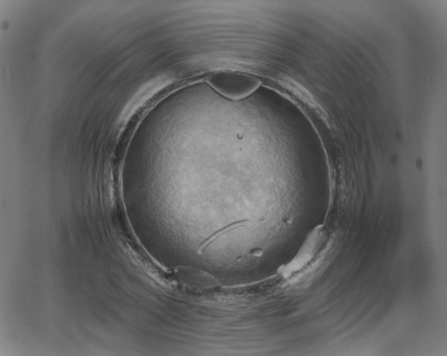 X0000064040782200601271201