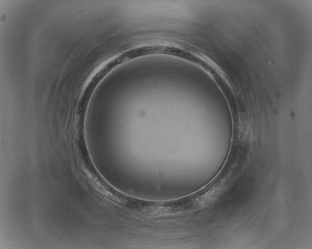 X0000064040783200601271201