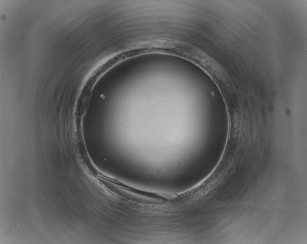 X0000064040784200601271201