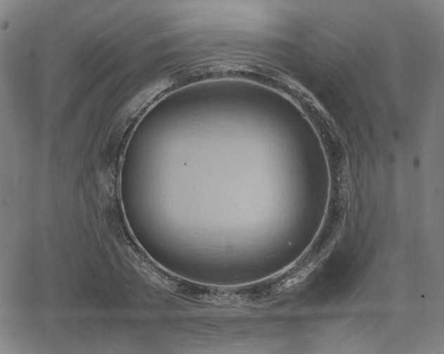 X0000064040785200601271201