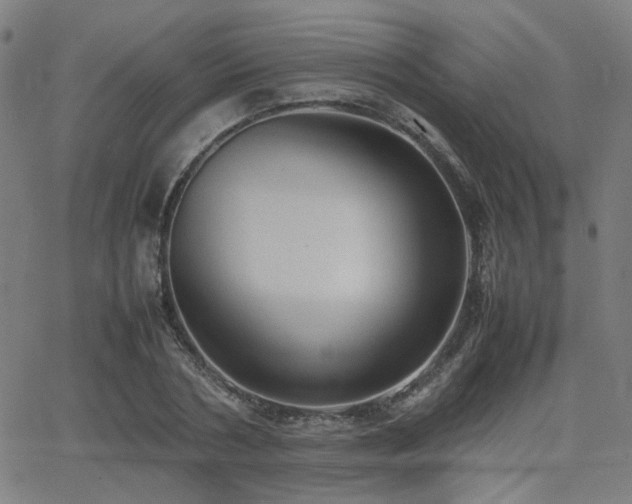 X0000064040786200601271201