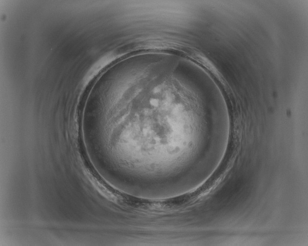 X0000064040787200601271201