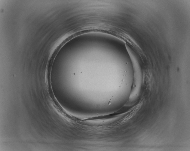 X0000064040788200601271201