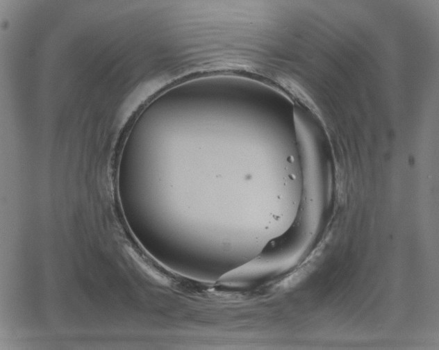 X0000064040789200601271201