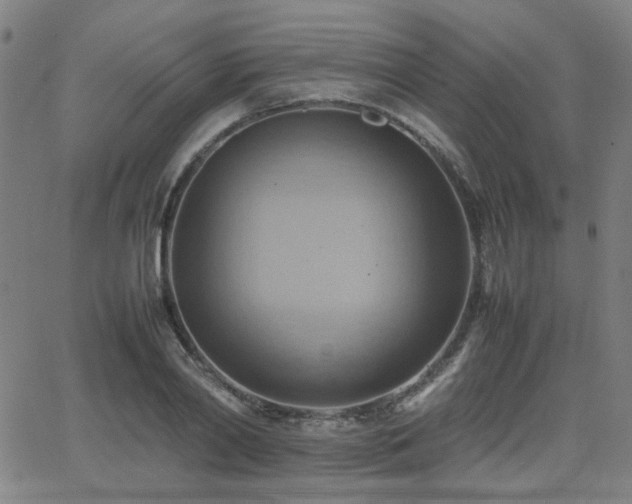 X0000064040790200601271201