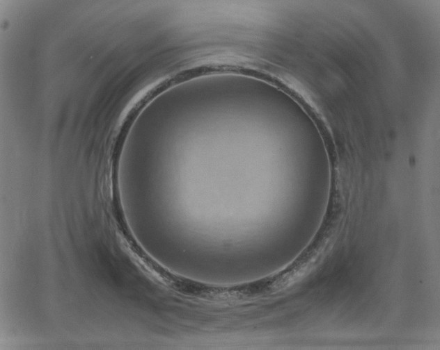 X0000064040791200601271201