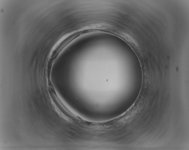 X0000064040792200601271201