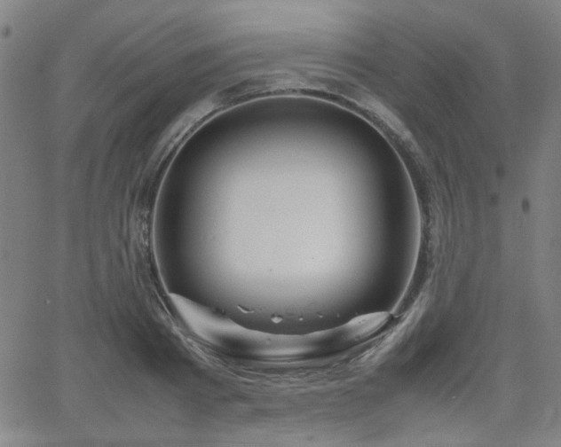 X0000064040793200601271201