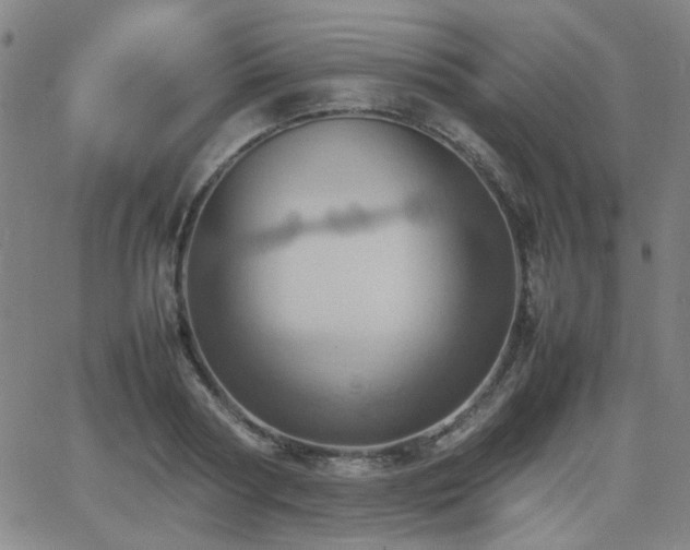 X0000064040794200601271201