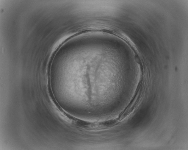 X0000064040795200601271201