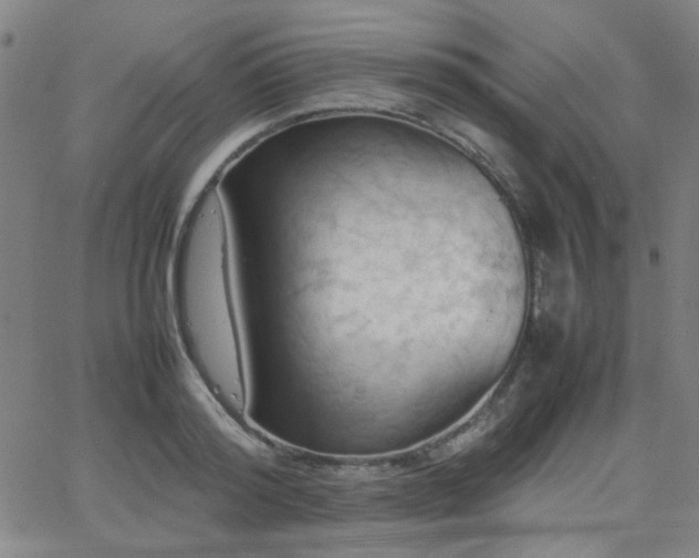 X0000064040796200601271201