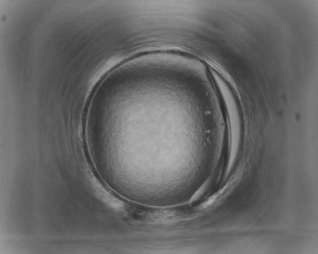 X0000064040797200601271201