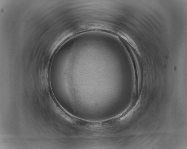 X0000064040798200601271201