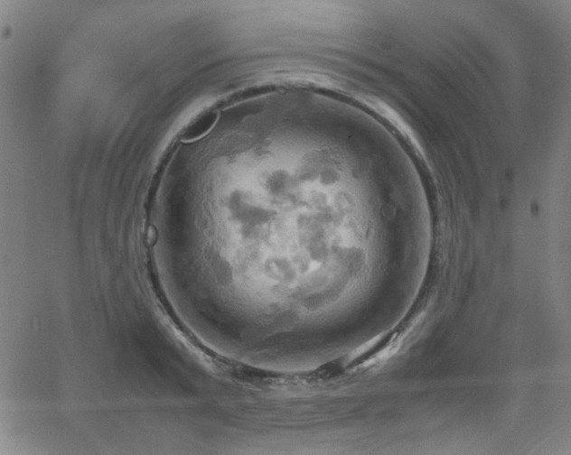 X0000064040799200601271201