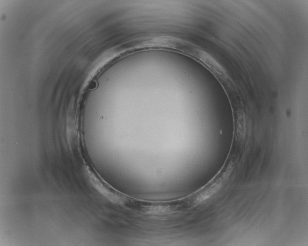 X0000064040800200601271201