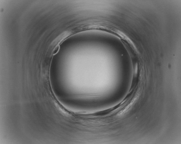 X0000064040801200601271201